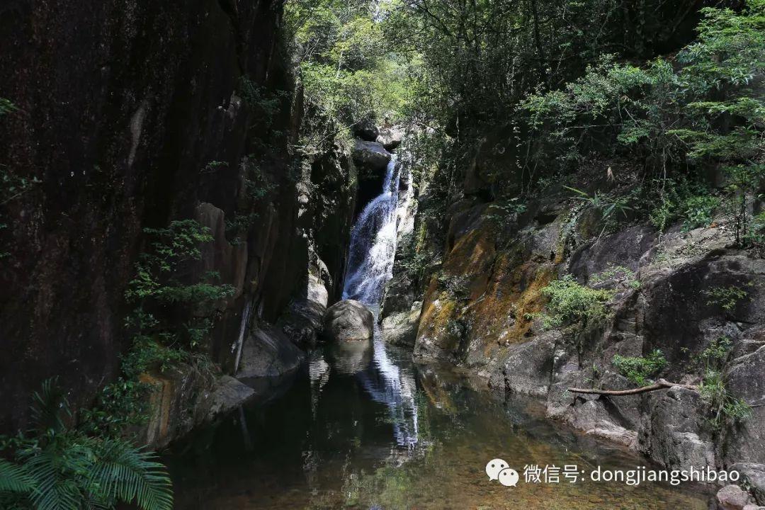 解疑答问,尽在拖延症怎么治,?蜗牛问答平台