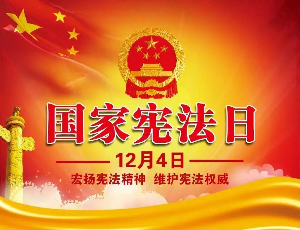 胖小猫救援