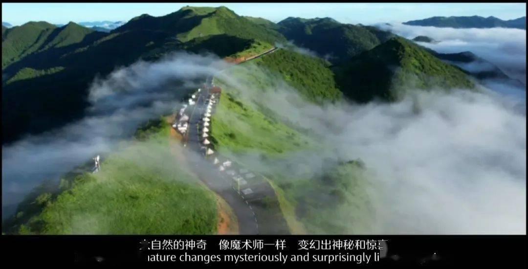动物帮帮忙保卫家园